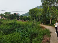 Cc.Cần bán lô đất vườn diện tích 1064,4m2 với 300m thổ cư Cc.Cần bán lô đất vườn diện tích 1064,4m2 với 300m thổ cư