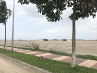 Bán Gấp Lô Đất 5000m2 Giá 650tr/Sổ,Đường Nhựa,Ngay Ql14, Đối Diện KCN Bán Gấp Lô Đất 5000m2 Giá 650tr/Sổ,Đường Nhựa,Ngay Ql14, Đối Diện KCN