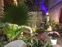 Sang nhượng quán cafe sân vườn view hồ Đền Lừ cực đẹp Sang nhượng quán cafe sân vườn view hồ Đền Lừ cực đẹp