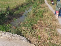 Bán mảnh đất cây lâu năm xã đồng thạnh, gò công tây, tiền giang Bán mảnh đất cây lâu năm xã đồng thạnh, gò công tây, tiền giang