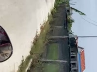 Bán đất ấp Lộc Trung Mỹ Lộc Cần Giuộc đường xe tải tới đất Bán đất ấp Lộc Trung Mỹ Lộc Cần Giuộc đường xe tải tới đất