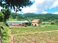 Bán 500m2 view đồi thông tại Hiệp Thạnh Đức Trọng Lâm Đồng. Bán 500m2 view đồi thông tại Hiệp Thạnh Đức Trọng Lâm Đồng.