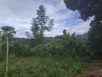 Bán đất xã Yên Bình Thạch Thất. Diện tích 940m2. Gần trục chính Bán đất xã Yên Bình Thạch Thất. Diện tích 940m2. Gần trục chính