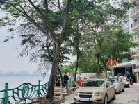 View Hồ Tây Siêu Đẹp Mặt Phố Từ Hoa 43mx5T, mt 7m, chào 23 tỷ View Hồ Tây Siêu Đẹp Mặt Phố Từ Hoa 43mx5T, mt 7m, chào 23 tỷ