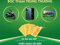Đất nền huyện Thống Nhất, sổ riêng, full thổ cư, XDTD Đất nền huyện Thống Nhất, sổ riêng, full thổ cư, XDTD