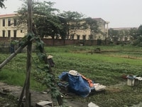 Bán đất Thanh Sơn Kiến Thụy Hải Phòng 100m2 giá 750tr Bán đất Thanh Sơn Kiến Thụy Hải Phòng 100m2 giá 750tr