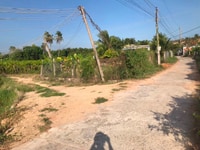 Gia đình cần bán đất hoa màu, nằm trên đường bê tông 6m Gia đình cần bán đất hoa màu, nằm trên đường bê tông 6m