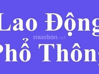 Phỏng vấn : Nhận việc ngay cần Nam/Nữ trên 18t Phỏng vấn : Nhận việc ngay cần Nam/Nữ trên 18t