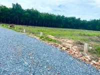 Cần tiền bán LỖ 2,5ha MẶT ĐƯỜNG DT756 có SỔ HỒNG chỉ 160tr/1000m2 Cần tiền bán LỖ 2,5ha MẶT ĐƯỜNG DT756 có SỔ HỒNG chỉ 160tr/1000m2