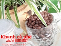 Đại lý cung cấp cà phê hạt rang xay chất lượng tại TP HCM Đại lý cung cấp cà phê hạt rang xay chất lượng tại TP HCM