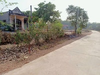 Chính chủ cần bán gấp gần 3 sào đất đường bê tông dân cư đông giá 320t Chính chủ cần bán gấp gần 3 sào đất đường bê tông dân cư đông giá 320t