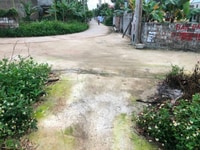 Chuyển nhượng đất thôn Đông xã Lâm Động Chuyển nhượng đất thôn Đông xã Lâm Động