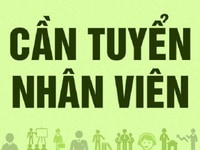 Cần tuyển: 01 kỹ thuật điện - nước. Làm tại công trình XD TP.HCM