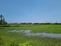 Bán lô đất rừng dừa Cẩm Thanh, Hội An Bán lô đất rừng dừa Cẩm Thanh, Hội An