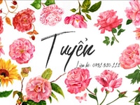 Tuyển trực tiếp Nam nữ Bán Hàng theo giờ hành chánh. Tuyển trực tiếp Nam nữ Bán Hàng theo giờ hành chánh.