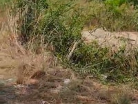 Bán đất mặt tiền đường Lý Nhơn, x.Lý Nhơn, Cần Giờ 14,8TỶ Bán đất mặt tiền đường Lý Nhơn, x.Lý Nhơn, Cần Giờ 14,8TỶ
