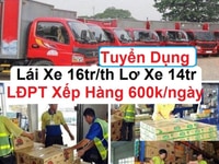 Bình Dương Cần Gấp 10 Lái xe tải 20 Lơ xe Giao Hàng, 30 Nam Phụ Kho Bình Dương Cần Gấp 10 Lái xe tải 20 Lơ xe Giao Hàng, 30 Nam Phụ Kho