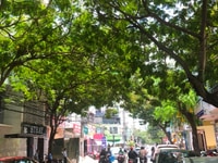 Bán đất ngang 11m mặt tiền đường Hồng Bàng trung tâm Nha Trang giá rẻ Bán đất ngang 11m mặt tiền đường Hồng Bàng trung tâm Nha Trang giá rẻ