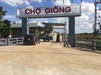 Khu dân cư Cổ Dũng Kim Thành Hải Dương Khu dân cư Cổ Dũng Kim Thành Hải Dương