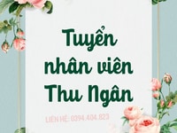 Công ty tuyển gấp nhân viên thu ngân làm việc tại Cửa Hàng Công ty tuyển gấp nhân viên thu ngân làm việc tại Cửa Hàng