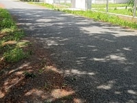 Chính chủ cần bán 497m2 ngang 11m thổ cư 100m mặt tiền đường 41 Chính chủ cần bán 497m2 ngang 11m thổ cư 100m mặt tiền đường 41
