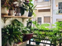 Bán Nhà HXH Đang KINH DOANH Quận 11, 4 Tầng Giá Chỉ 6.499 Tỷ. Bán Nhà HXH Đang KINH DOANH Quận 11, 4 Tầng Giá Chỉ 6.499 Tỷ.