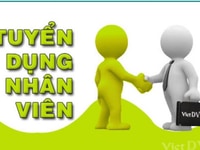 Tuyển 02 nhân viên đứng quầy bán hàng tại siêu thị Tuyển 02 nhân viên đứng quầy bán hàng tại siêu thị