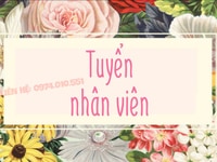 Cần tuyển gấp nhân viên kế toán bán hàng Cần tuyển gấp nhân viên kế toán bán hàng