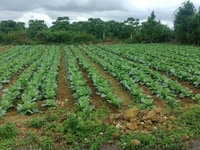Đất đẹp ở ngay mặt tiền xã Lộc An Đất đẹp ở ngay mặt tiền xã Lộc An