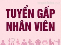 Cần nhân viên Nam/Nữ. Nhận vào làm ngay Cần nhân viên Nam/Nữ. Nhận vào làm ngay