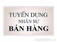 Siêu thị tuyển nhân viên bán hàng không cần kinh nghiệm Siêu thị tuyển nhân viên bán hàng không cần kinh nghiệm