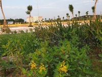 SIÊU phẩm đất nền KĐT dĩnh trì, BẮC GIANG SIÊU phẩm đất nền KĐT dĩnh trì, BẮC GIANG