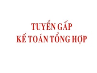 Tuyển gấp kế toán tổng hợp đi làm ngay Tuyển gấp kế toán tổng hợp đi làm ngay