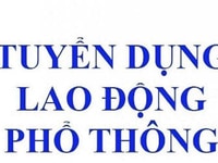 Cty TNHH một thành viên cần 6 nam/nữ đứng đóng gói bao bì sản phẩm Cty TNHH một thành viên cần 6 nam/nữ đứng đóng gói bao bì sản phẩm