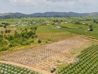 Lô đất vườn 34490 mét vuông giá tốt Lô đất vườn 34490 mét vuông giá tốt