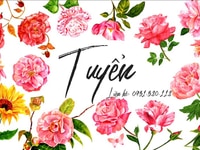 Tuyển 3 nhân viên kế toán làm việc tại siêu thị mini Tuyển 3 nhân viên kế toán làm việc tại siêu thị mini