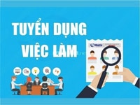 Công việc dành cho nữ ,ưu tiên thái độ tốt (nhận việc nhanh) Công việc dành cho nữ ,ưu tiên thái độ tốt (nhận việc nhanh)