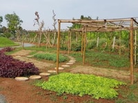 Đất MT NG THỊ RÀNH 566m2 tám bảy năm triệu SHR đẹp Đất MT NG THỊ RÀNH 566m2 tám bảy năm triệu SHR đẹp