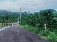 Bán đất ngay trung tâm thành phố Bảo Lộc. Sổ riêng,dân cư hiện hữu Bán đất ngay trung tâm thành phố Bảo Lộc. Sổ riêng,dân cư hiện hữu
