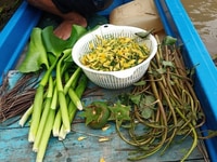 Nhà đất mặt tiền nhựa & mặt tiền sông - 3 bè cá Nhà đất mặt tiền nhựa & mặt tiền sông - 3 bè cá