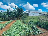 Khu nghỉ dưỡng Bảo Lộc Lâm Đồng 400m2. Khu nghỉ dưỡng Bảo Lộc Lâm Đồng 400m2.
