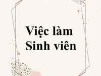 Việc làm ưu tiên sinh viên tại khu vực Gò Vấp Việc làm ưu tiên sinh viên tại khu vực Gò Vấp