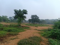 12000m2 Cổ Đông Sơn Tây VIEW Hồ 12000m2 Cổ Đông Sơn Tây VIEW Hồ