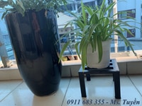 Ghế đôn sắt, ghế đôn vuông giá rẻ, kích thước đôn 20x20cm chắc chắn Ghế đôn sắt, ghế đôn vuông giá rẻ, kích thước đôn 20x20cm chắc chắn