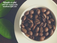 Cà phê rang mộc giá sỉ ổn dịnh tại TPHCM Cà phê rang mộc giá sỉ ổn dịnh tại TPHCM