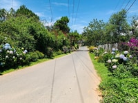 Bán 500m2 đất xây dựng khu quy hoạch Đống Đa-phường 3 thành phố Đà Lạt Bán 500m2 đất xây dựng khu quy hoạch Đống Đa-phường 3 thành phố Đà Lạt
