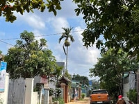 Cần bán nhà gần chợ Đạt Lý 7x22m Cần bán nhà gần chợ Đạt Lý 7x22m