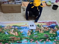 Hàng gia công tại nhà (thêu tranh chữ thập) toàn quốc Hàng gia công tại nhà (thêu tranh chữ thập) toàn quốc