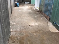 Bán Gấp Nhà Mới Giá Rẻ đường Gò Ô Môi Quận 7 Bán Gấp Nhà Mới Giá Rẻ đường Gò Ô Môi Quận 7