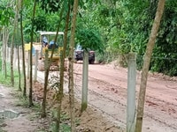 Bán 20 Ha Cao su đến tuổi khai thác mủ Xã Hòa Hiệp Huyện Tân Biên Bán 20 Ha Cao su đến tuổi khai thác mủ Xã Hòa Hiệp Huyện Tân Biên